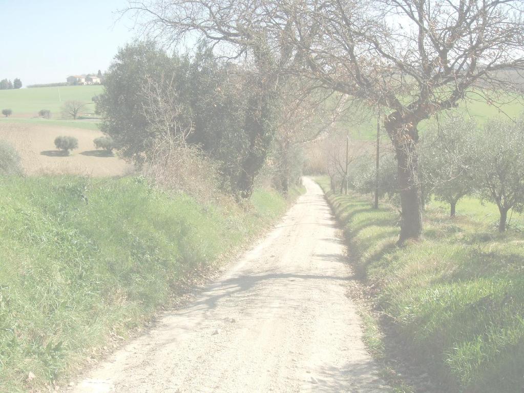 MANUTENZIONE STRAORDINARIA STRADE COMUNALI BIANCHE 1. Strada Opera Pia 2. Strada Corta di Potenza Picena 3. Strada Stucchetto 4. Strada Passatempo 5. Strada Castelletta Bassa 6.