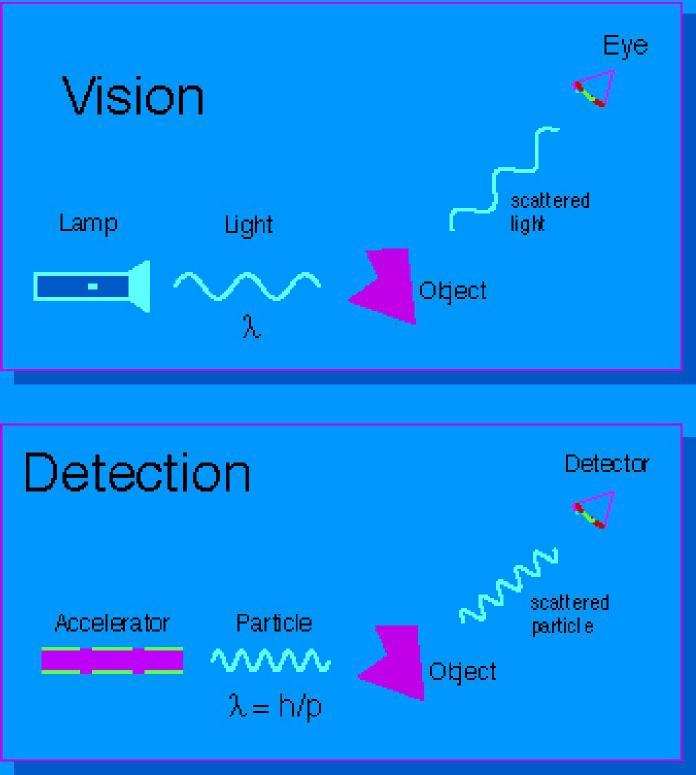 Perchè accelerare le particelle? Visione con una lampada e gli occhi.