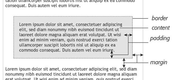 Il Box Model Esempio Margin, padding e border Le proprietà margin, padding e border individuano le tre cornici intorno al content Per ciascuna di queste, i quattro lati sono tra di loro indipendenti