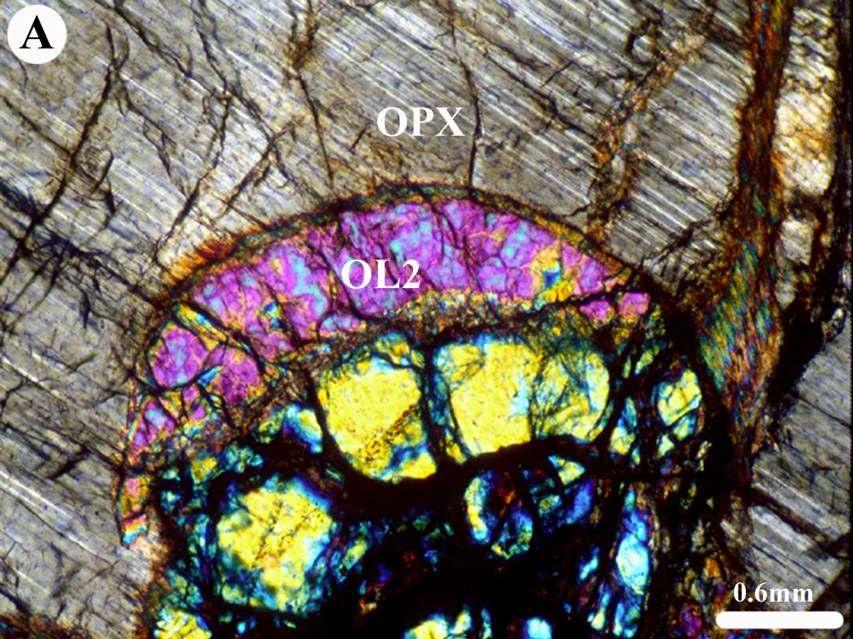 Bordo di nuova olivina indeformata che