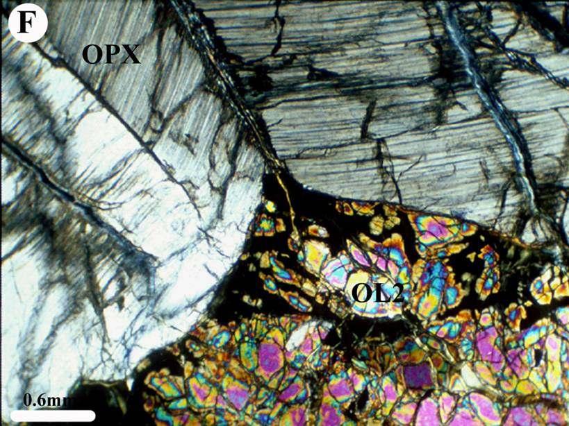 Cristallo di nuova olivina che sostituisce un porfiroclasto molto deformato e kinkato di opx: questa struttura indica