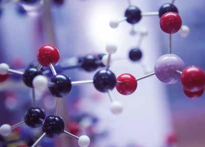 SBOCCHI PROFESSIONALI La Laurea in Chimica è mirata sia alla prosecuzione degli studi, che al rapido inserimento come chimico junior nell industria chimica,