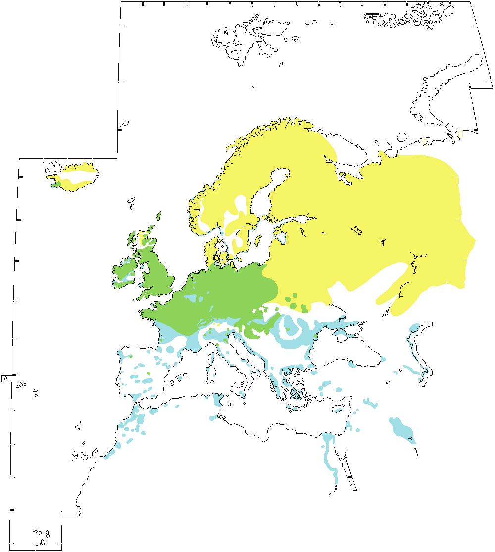 MORETTA Aythya fuligula Distribuzione nel Paleartico occidentale Areale di svernamento Areale di