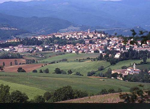 IL CAMPO GARA Sarà allestito nel comune di Bibbiena (Arezzo), in una area dotata di: ampi spazi per il parcheggio dei trailers ricovero per i cavalli area per ristorazione curata dalla Confraternita