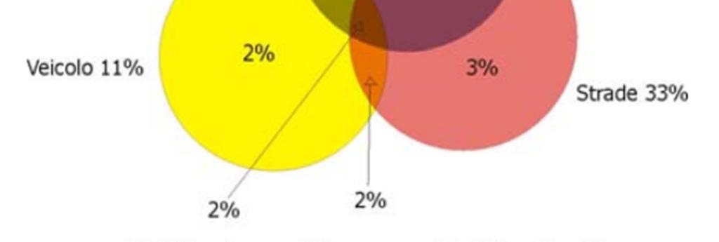 strade è causa esclusiva degli incidenti in circa il 3% degli eventi, mentre ne è concausa in circa il 30%