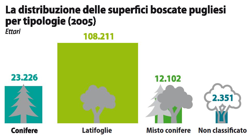 16,0% 74,1% 8,3% 1,6% Le foreste pugliesi si contraddistinguono per la presenza di macchia mediterranea (oltre 15.000 ettari circa 6% sup. tot. Italia).