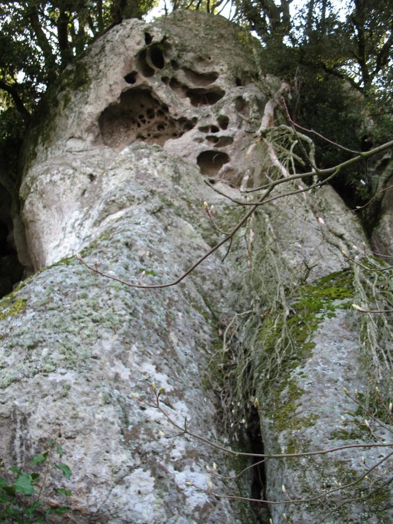 L azione dell acqua Viterbo tafoni