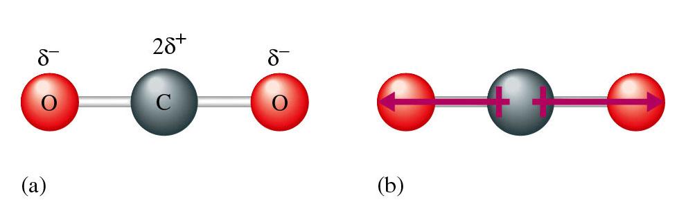 Legame chimico: covalente polare La geometria e la simmetria molecolare giocano un ruolo