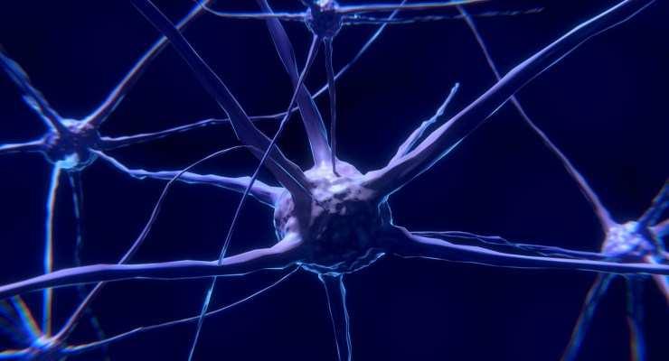 Nuovi indizi sulla Sla, nei difetti di comunicazione tra muscoli e neuroni - Galileo https://www.galileonet.it/2017/11/studio-indizi-sla-difetti-comunicazione-muscoli-ne.