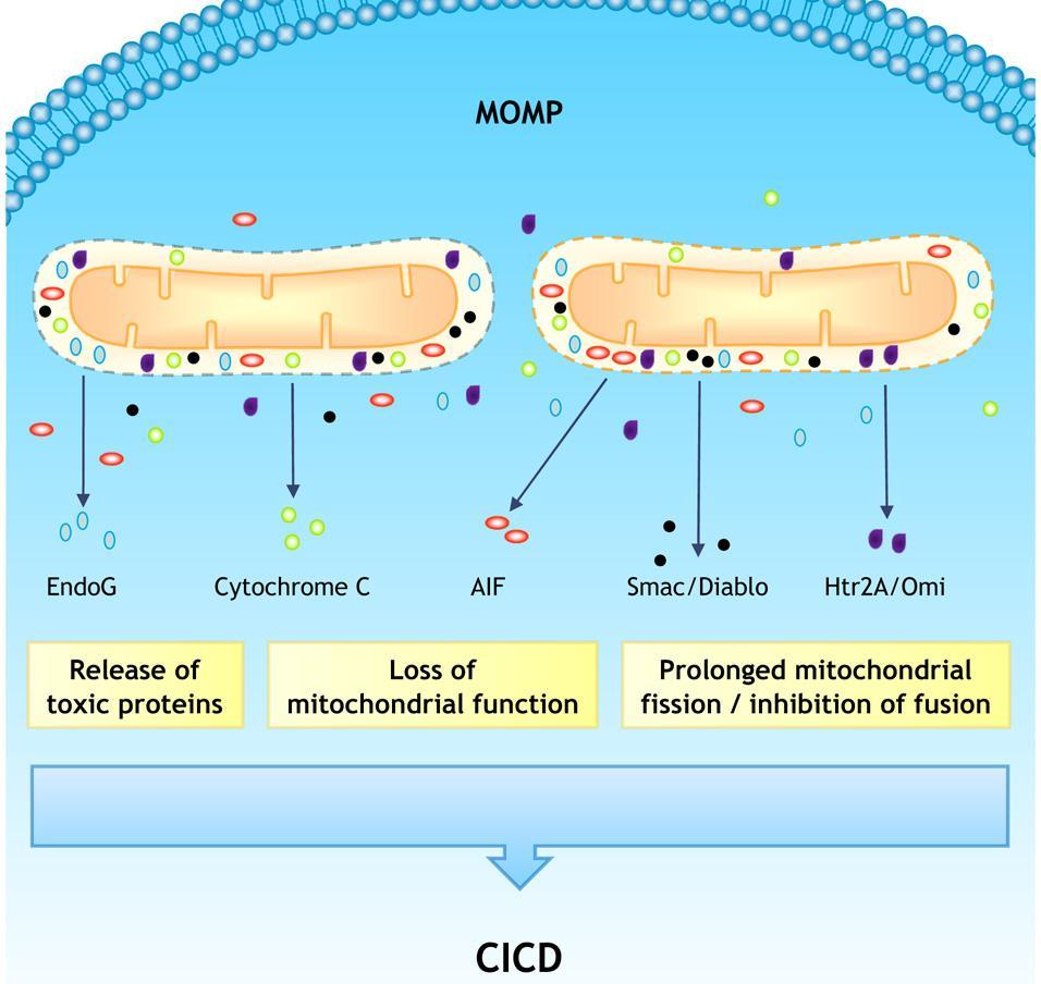 CICD =