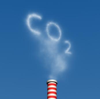 ( ) Effetti CO 2 E presente negli strati più bassi dell'atmosfera La sua concentrazione dipende prevalentemente dall'attività degli organismi vegetali ed animali: alle nostre latitudini è maggiore d