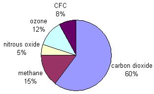 ( ) Effetti CO 2 Contributo relativo dei gas serra all'effetto serra (2004) CO 2 1 CH 4 21 CFC 11 8500 CFC 12 5000 HCFC HFC 93 12100 SF6 23900 (1t SF6 = 23900t di CO 2 ) GWP (Global Worming