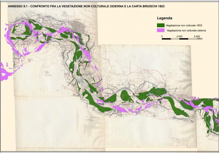 Il confronto ottenuto dopo rigorosa georeferenziazione - documenta una forte regressione della vegetazione non culturale e quindi degli habitat naturali (boschi planiziari e di ripa, ecotoni,