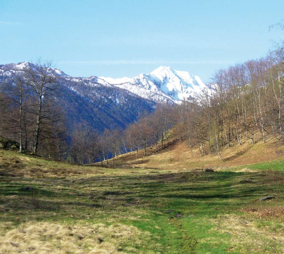 I primi due sul versante sinistro, gli altri su quello opposto.