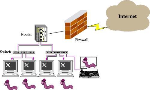 Worm Worm: i worm sono costituiti da codice dannoso che si replica in modo autonomo sfruttando le vulnerabilità nelle reti. Solitamente i worm rallentano le reti.