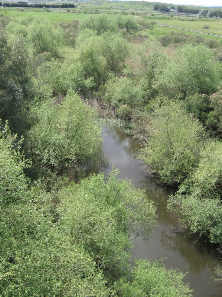 Censimento e campionamento di tutti i pozzi e le sorgenti dell area vasta,