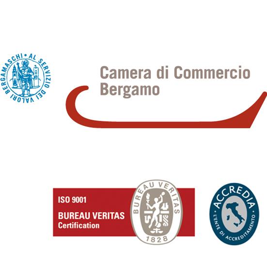 Camera di Commercio Industria Artigianato e Agricoltura di BERGAMO Registro Imprese - VISURA DI EVASIONE SCUOLA DELL'INFANZIA S.