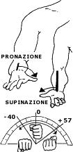 Valutazione del rischio: movimenti ripetitivi Nella valutazione delle singole posture si dovrà definire se, durante il movimento, l'impegno a carico dell'articolazione (misurato dal valore