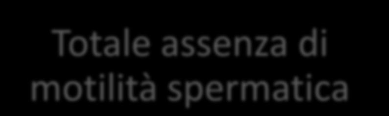 Totale assenza di motilità spermatica astenozoospermia