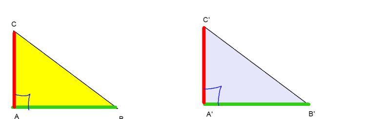 Triangolo rettangolo Tutti i triangoli rettangoli hanno un angolo sempre congruente, quello retto, quindi i criteri si riducono: 1.