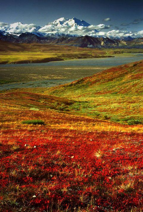 9 giorno: 15 Giugno Il National Park Kenai Fjord Colazione inclusa Oggi al mattino presto, alle 7.