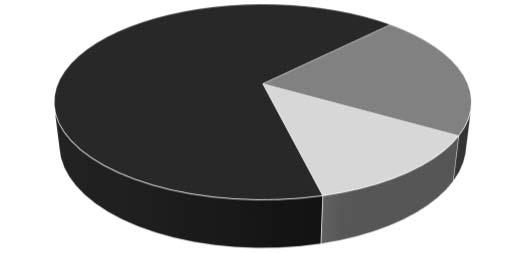 Multisocietarie 22 29% H 9 12% K 2 3% A,B,D,E,F,G,I,J,L 9 12%