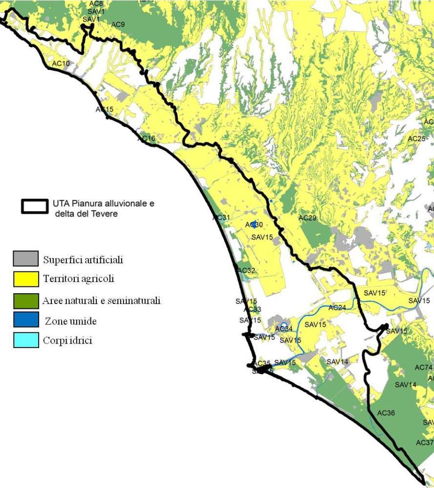 LITORALE NORD 80 70 % 60 50 40 30 REP nell'uta REP totale Provincia di Roma 20 10 0 Artificiale Agricolo Naturale Zone umide Corpi idrici Percentuali di copertura delle categorie di uso del suolo nel