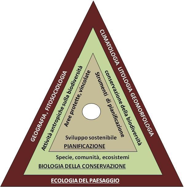 IL CONTESTO DELLE RETI ECOLOGICHE La Rete Ecologica