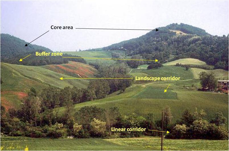 della biodiversità quando gli ecosistemi naturali