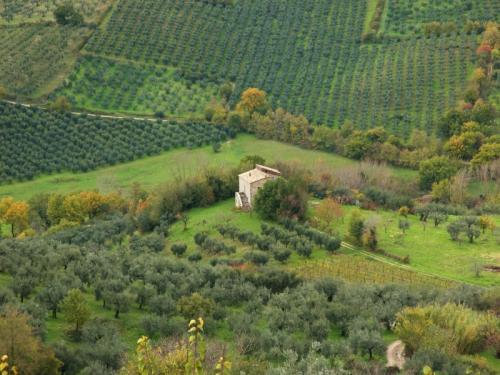 TERRITORIALE: si basa sul confronto tra l eterogeneità reale, indotta dalle attività umane, ed eterogeneità potenziale - in condizioni naturali - dell intero mosaico territoriale Reti faunistiche