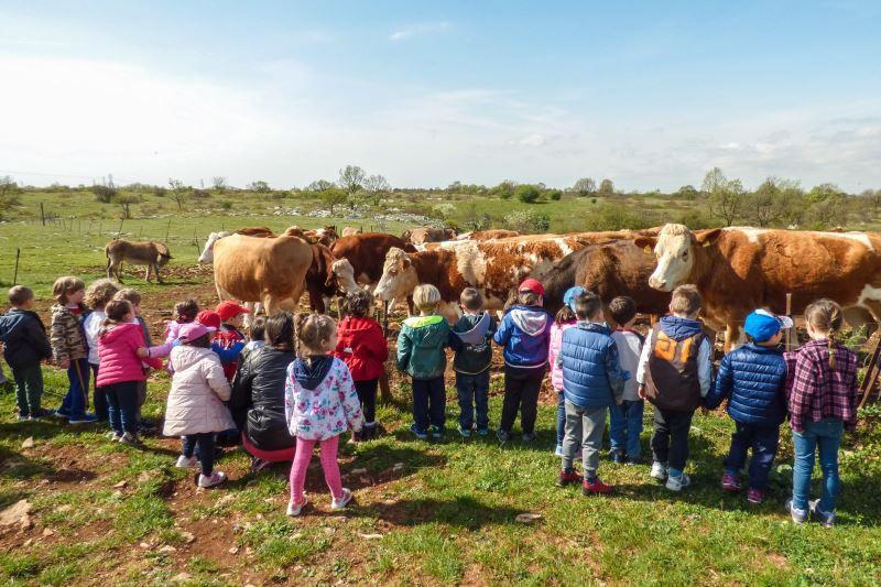 con ampio parco giochi (scivoli, altalene, ecc.) per il momento di svago. - escursione a bordo dell'ecologico Agribus elettrico all'interno della landa carsica, un ambiente naturale protetto.