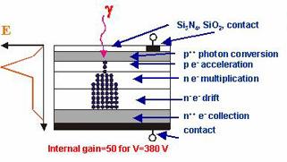 APD e VPT R I C H I E S T E Insensibili al campo magnetico Con alta efficienza quantica per λ 400 500 nm Amplificazione interna Veloci (40MHz) Resistenti alle radiazioni AvalacePhotoDiode (barrel)