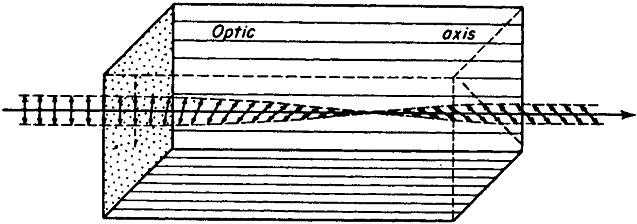 Rotazione del piano di polarizzazione I polarizzatori sono basati su quattro meccanismi fondamentali: dicroismo (o assorbimento selettivo), riflessione, diffusione e birifrangenza.