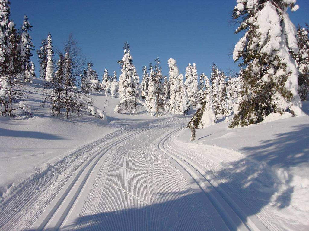 Lapponia Finlandese, Stagione 2013 Traversata da Levi a Muonio con bagaglio trasportato Itinerario di sci di fondo con accompagnatori di 8 giorni e 7 notti.