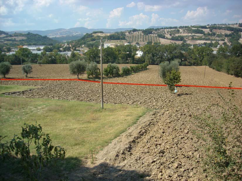 9 Fg. 9 di 33 Foto 20quater: Percorrenza piana alluvionale a est della zona