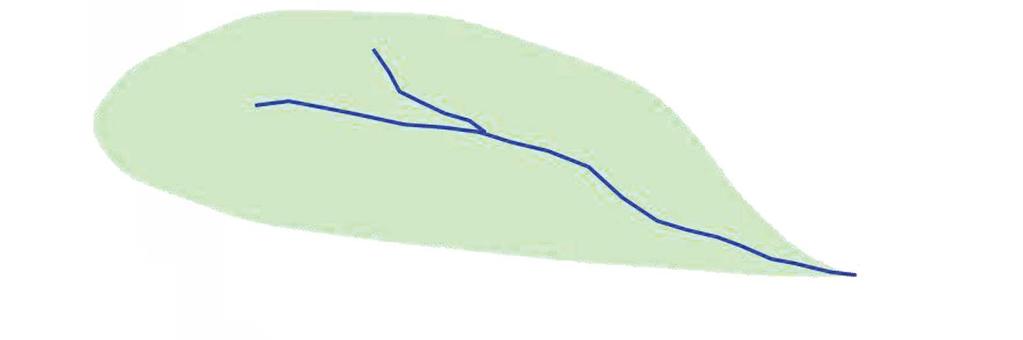 Pioggia Bacino idrografico Portata Bacino idrografico di un corso in una determinata sezione fluviale: parte di territorio che convoglia, direttamente o indirettamente mediante canali secondari,