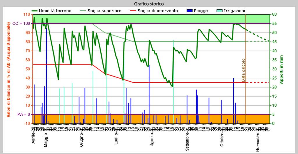 GRAFICO DEL