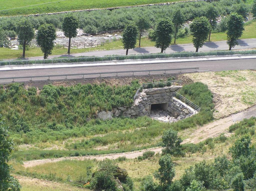 rallentare la caduta massi e trattenere la componente solida, lasciando