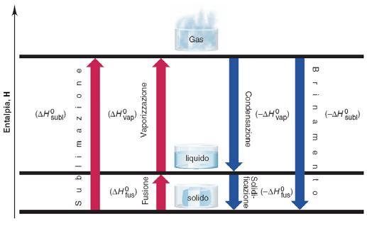 TRANSIZIONI DI FASE Fase: qualsiasi parte di un sistema omogenea, di composizione chimica costante e in un determinato stato fisico.