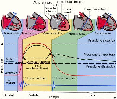 FISIOLOGIA CUORE: