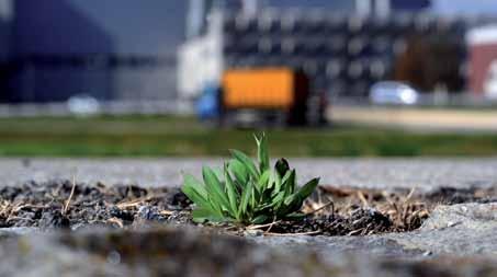 101 to del posto di lavoro in un clima organizzativo positivo e di riflesso contribuire a mantenere l abilità lavorativa delle persone.