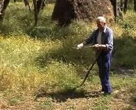 Agronomia e territorio La realizzazione di qualunque modello