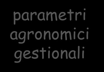 secondaria pericolosità geomorfologica agro-pedologia