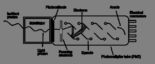 Fotomoltiplicatori Un fotone che colpisce il fotocatodo libera un elettrone (per effetto fotoelettrico.