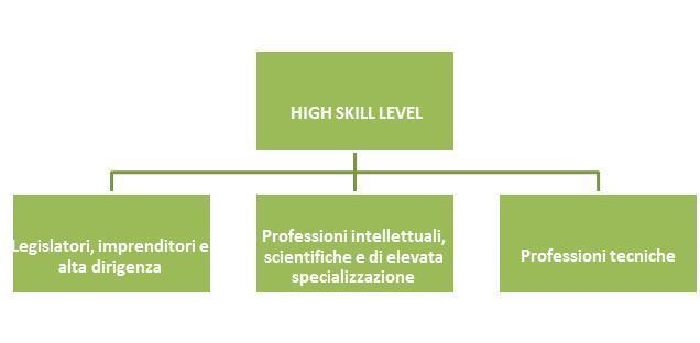 II Sezione Focus Professioni La classificazione Istat si fonda sul criterio della competenza (skill), definita come la capacità di svolgere i compiti di una data professione, vista nella sua duplice