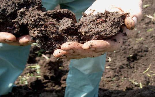 P R O P R I E T A AUMENTA LA FERTILITA AUMENTO DELLA DISPONIBILITA DI ELEMENTI (p.