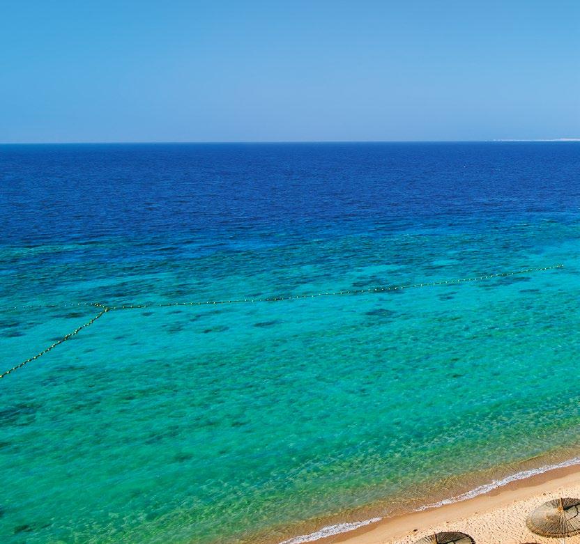 Veraclub Reef Oasis Beach Resort ALLINCLUSIVE Egitto Sharm El Sheikh Eccoci su una delle più belle spiagge della costa.
