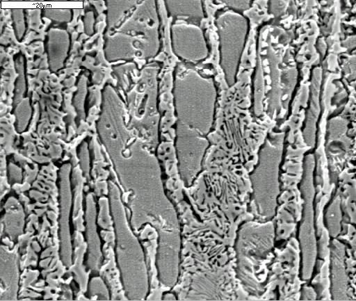 Fig. 3: Analisi al SEM della superficie dell acciaio inossidabile duplex 2205 rinvenuto a 800 C-100h, sottoposto a prova cronoamperometrica (-300 mv/sce per 60 minuti).