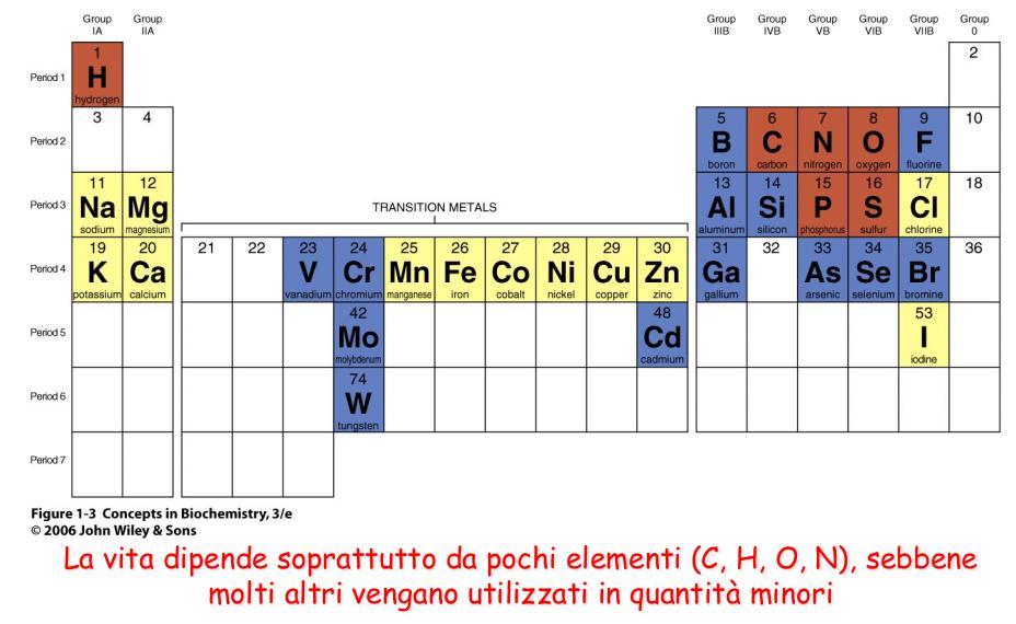 la maggior parte degli organismi è