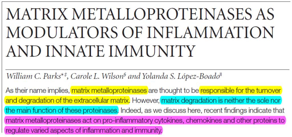 MMPs nell inflammazione in risposta al danno